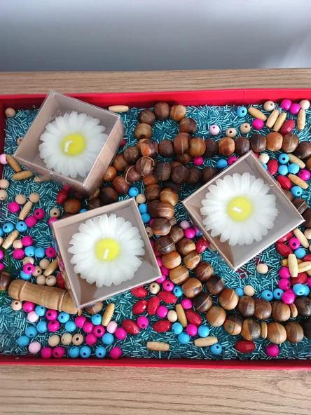 PAPATYA MUM SEVİMLİ