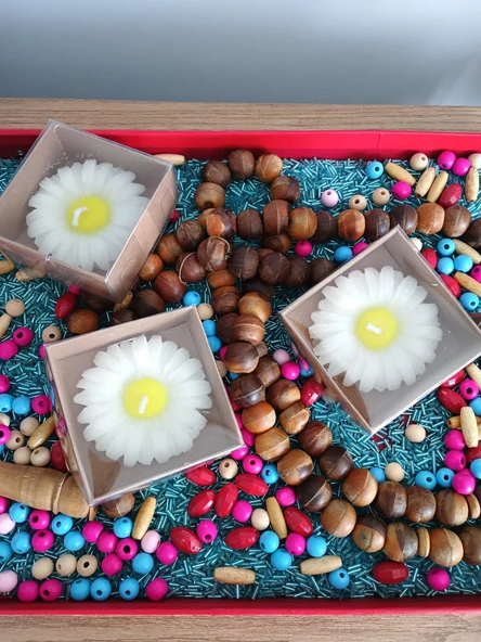 PAPATYA MUM SEVİMLİ - 3