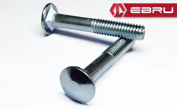 Ebru Kasa Civata 1/4x40 - 200 Adet