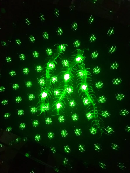 Şaka Yılan ve Kırkayak Karışık 36 Adet - 4