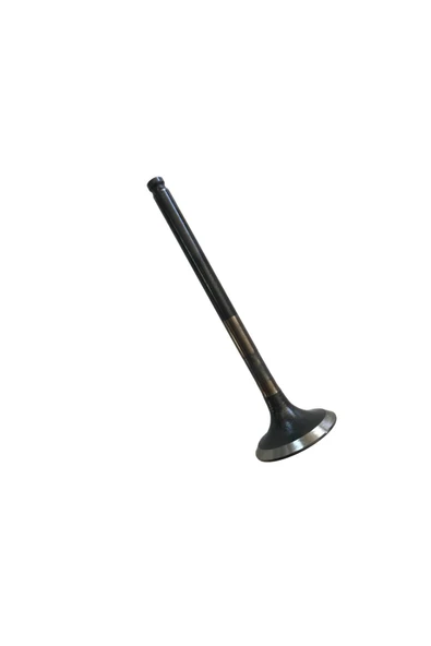 [HR-ORT F0172] EGZOZ SUBAP #HR-ORT F0172