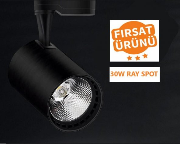 Ledli Ray Spot Siyah Kasa 30 Watt Günışığı 3000K