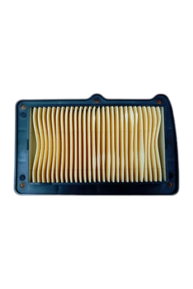 RKS PREMIUM HAVA FİLTRESİ #Ç40073