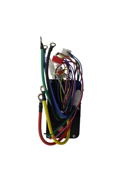 E-BİKE 45 AMP 3 TEKERLEKLİ KASALI BEYİN #CYS908