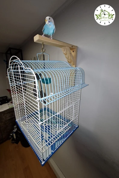 Green Home Ahşap Tünek- Askılık- Kanarya Bülbül Muhabbet Kuşu Papağan Kafesleri Için Dekoratif Askılık - 2