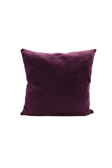 Berry Büyük Pet Kedi & Köpek Yatağı Ayrı Kullanılabilir Minderli - 5