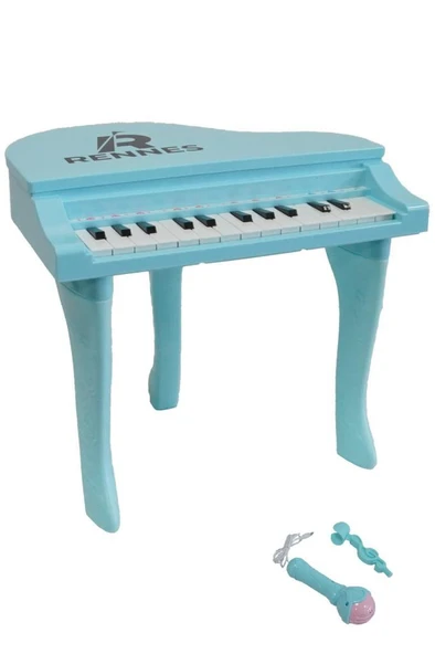 Rennes NP-800BL Akustik Görünümlü 25 Tuşlu Dijital Elektronik Mikrofonlu Çocuk Piyanosu Mavi - Resim 2