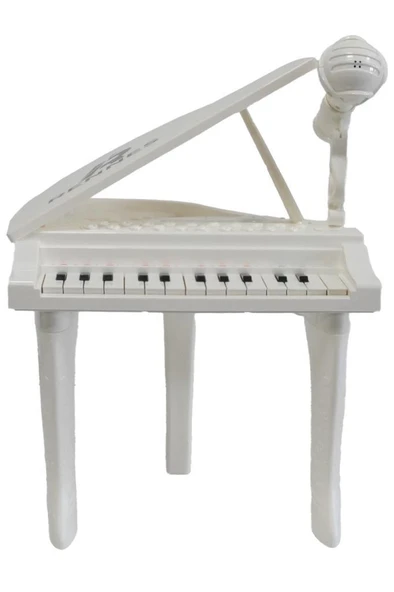 Rennes NP-800WH Akustik Görünümlü 25 Tuşlu Dijital Elektronik Mikrofonlu Çocuk Piyanosu Beyaz - Resim 3
