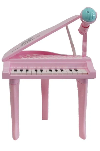 Rennes NP-800PK Akustik Görünümlü 25 Tuşlu Dijital Elektronik Mikrofonlu Çocuk Piyanosu Pembe - Resim 3