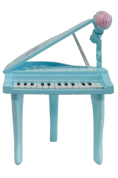 Rennes NP-800BL Akustik Görünümlü 25 Tuşlu Dijital Elektronik Mikrofonlu Çocuk Piyanosu Mavi - Resim 3