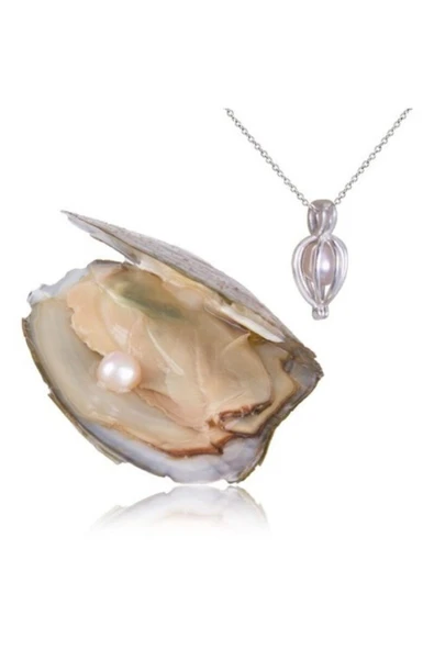 Istiridye Içinde Gerçek Inci Kolye - 3