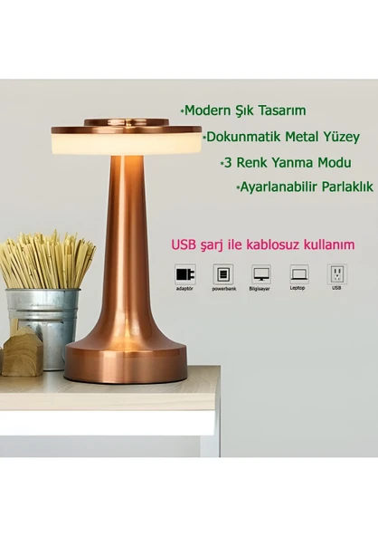 Anaway Masa Lambası   Şarjlı Dekoratif Dokunmatik Metal 3 Renk Mod Dim Edilebilir