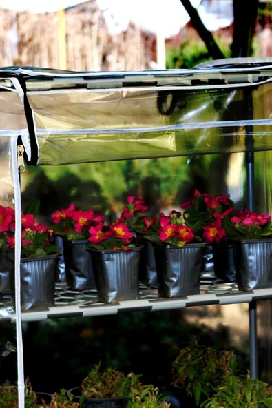 Portatif Bahçe Balkon Serası SERA - 5