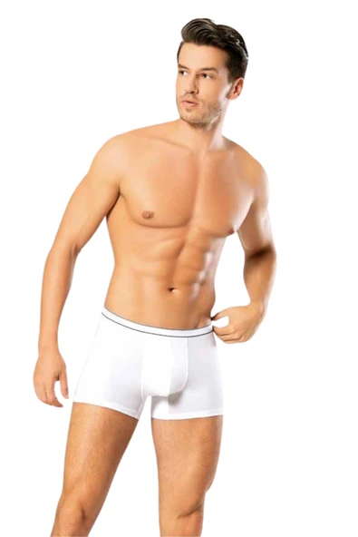 Looksense Erkek Dude İnce Bel Şeritli Lastikli Likralı Boxer 1201 - Resim 2