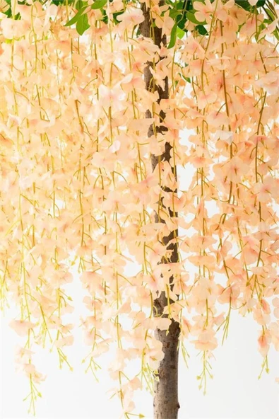 Yapay Sarkan Akasya Çiçeği 100 Cm SOMON 12 Li Paket DÜĞÜN NİŞAN DEKOR BALKON