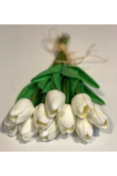 10 LU ISLAK LALE DEMETİ - Resim 3