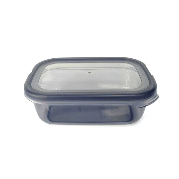 Evmoni Saklama Kabı 670ml 5x16x11cm