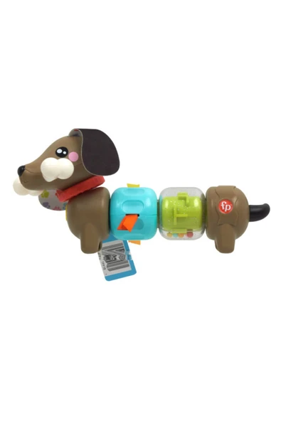 Fisher Price Köpekçikle Eğlenceli Aktiviteler HTW91