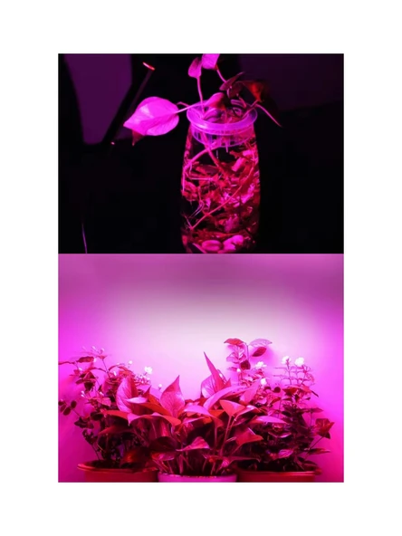 Kasalı Şeffaf Kapaklı Grow LED 12V 5630 Full Spectrum Bitki Yetiştirme Ledi 25CM - Resim 5