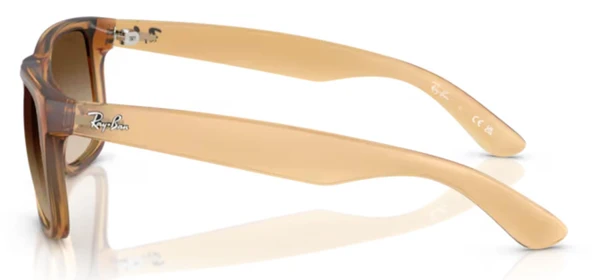 Ray-Ban RB4165 681413 55 Erkek Güneş Gözlüğü - 4