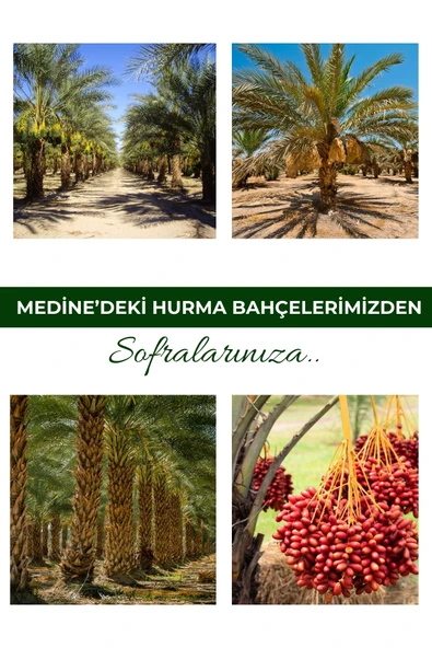 payitaht hurma Mebrum Duble Medine Hurması 1kg -yeni Mahsul-türk Damak Tadına Uygun 8681506271767 - 5