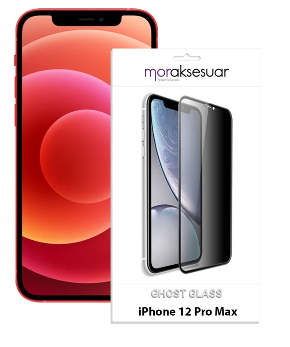 Apple iPhone 12 Pro Max Gizli Hayalet Ekran Koruyucu Kırılmaz Cam