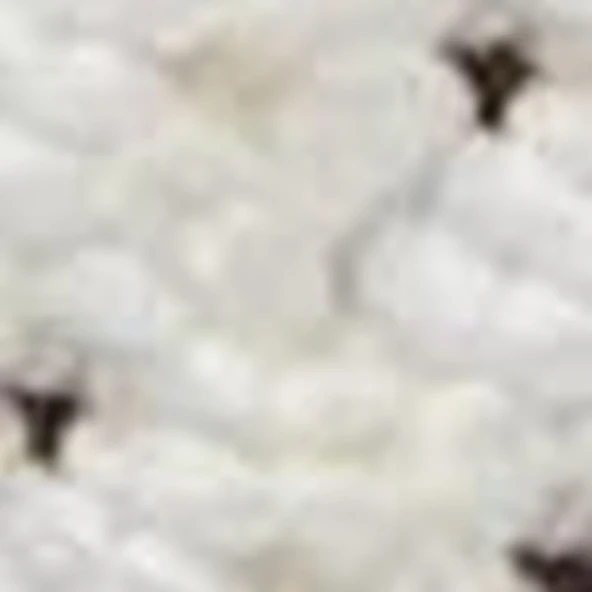 Timberland MOTION ACCESS LOW LACE UP SNEAKER Kadın Ayakkabı TB0A29PPEUR1 - 5