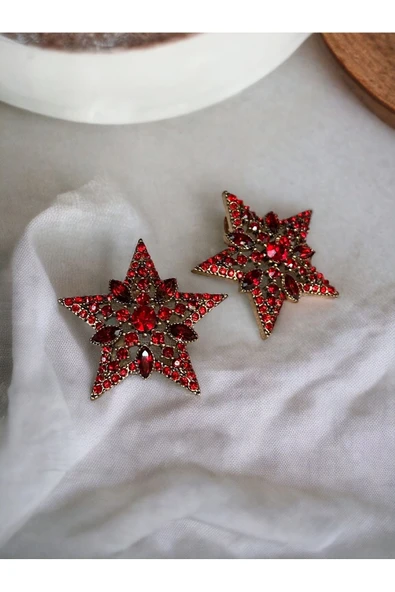 Kristal Taşlı Yıldız Küpe - 2