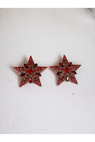 Kristal Taşlı Yıldız Küpe - 3