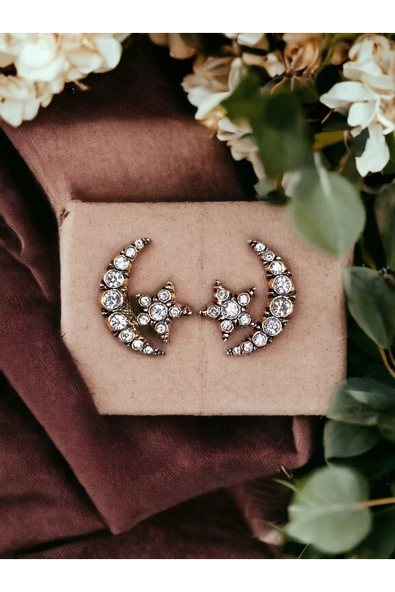 Zirkon Taşlı Ay Yıldız Küpe ürün görseli