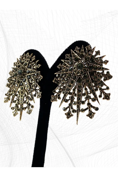 Turkuaz Taşlı Kutup Yıldızı Küpe - Resim 8