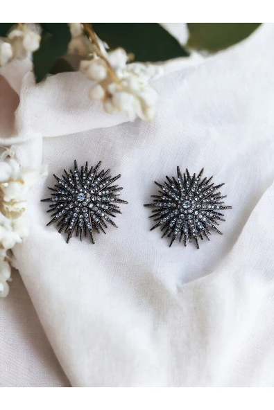 Zirkon Taşlı Deniz Kestanesi Küpe ürün görseli