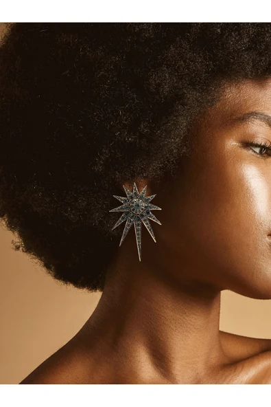 Zirkon Taşlı Kuzey Yıldızı Küpe - Resim 9