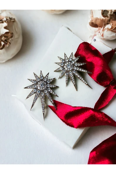 Zirkon Taşlı Kuzey Yıldızı Küpe ürün görseli