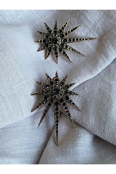 Zirkon Taşlı Kuzey Yıldızı Küpe - Resim 8