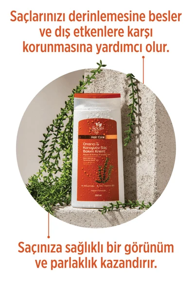 SELESTA LİFE Atkuyruğu Bitki ve Provitamin B5 Özlü Onarıcı & Koruyucu Saç Bakım Kremi Yıpranmış Saçlar 250 ml - 2