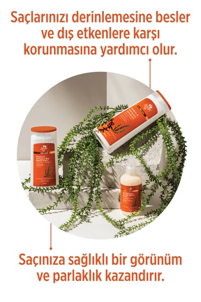 SELESTA LİFE Atkuyruğu Bitki Özü ve Provitamin B5 Özlü 3'lü Onarıcı & Koruyucu Saç Bakım Seti Yıpranmış Saçlar - 2