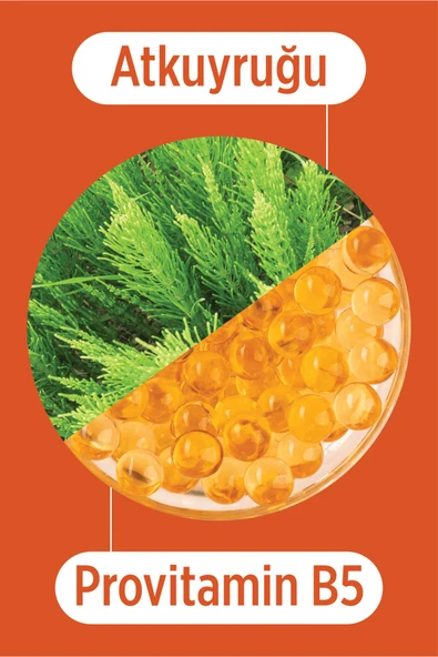 SELESTA LİFE Atkuyruğu Bitki Özü ve Provitamin B5 Özlü Onarıcı & Koruyucu Şampuan Yıpranmış Saçlar İçin 400 ml - 3
