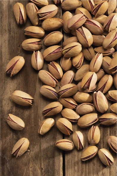 Antep Fıstık Kabuklu Kilitli Paket 500 Gr - 6