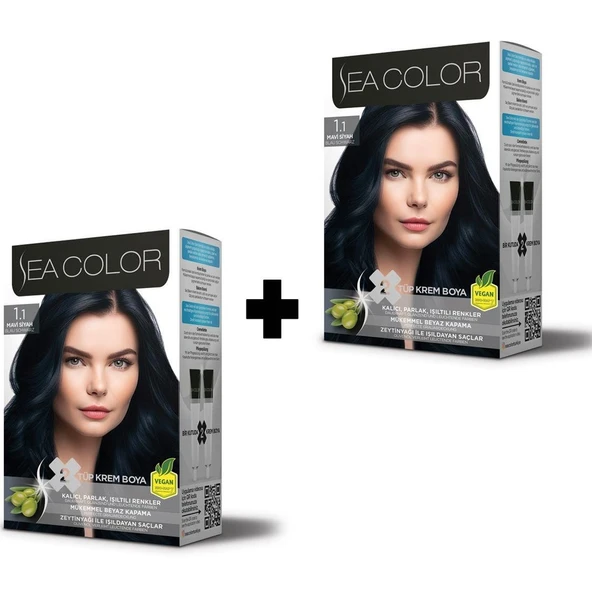 SEA COLOR 1 1 Mavi Siyah Set Boya 2 li Kutu