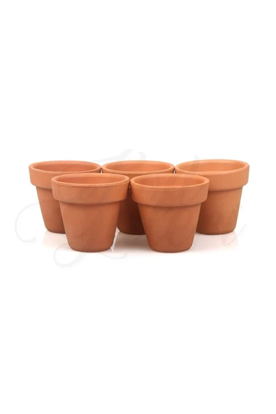 5li Klasik Tip Minik Boy 6-7cm Sukulent El Yapımı Doğal Terleyen Çömlek Toprak Saksı No.295 - 4