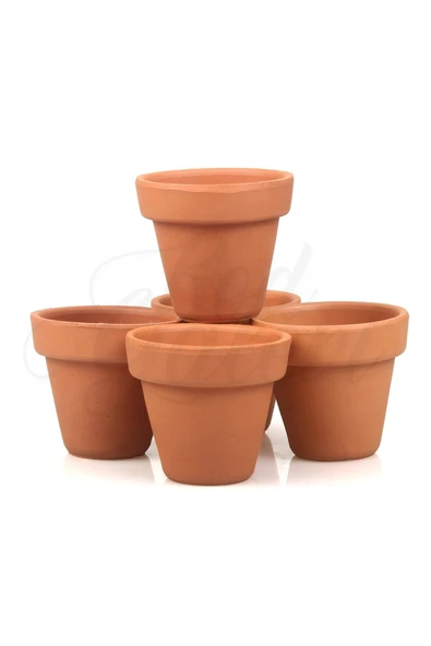 5li Klasik Tip Minik Boy 6-7cm Sukulent El Yapımı Doğal Terleyen Çömlek Toprak Saksı No.295