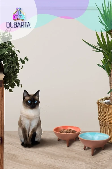 2li Ayaklı Sırlı Çömlek Kedi - Köpek Maması Kabı - 3