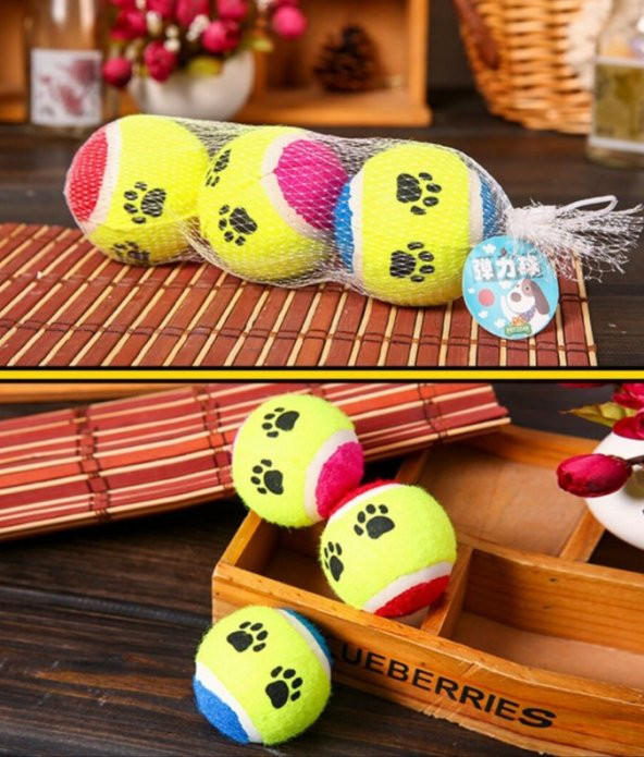 Evcil Hayvan Kedi Köpek Eğitim Topu 3 lü Set - 2