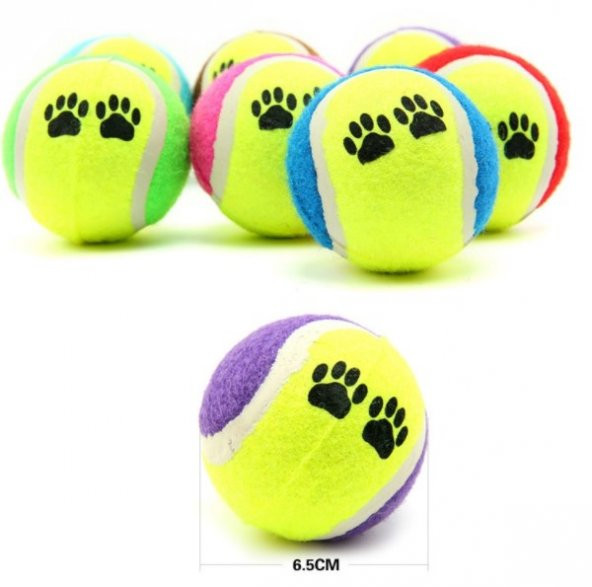 Evcil Hayvan Kedi Köpek Eğitim Topu 3 lü Set - 3