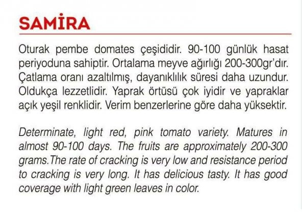 ATA TOHUMU YERLİ PEMBE KÖY DOMATESİ 100 ADET TOHUM - 2