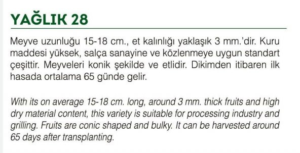 ATA TOHUMU YÖRESEL TATLI YAĞLIK BİBER 100 ADET TOHUM - 2