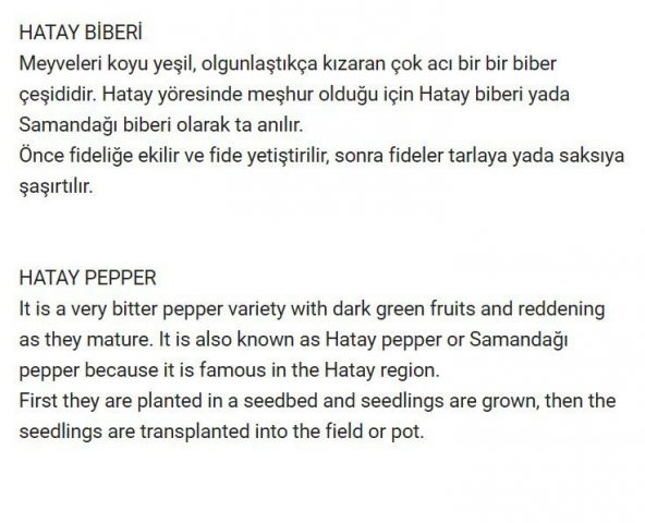 ATA TOHUMU YERLİ ÇOK ACI HATAY BİBERİ 100 AD TOHUM - 2