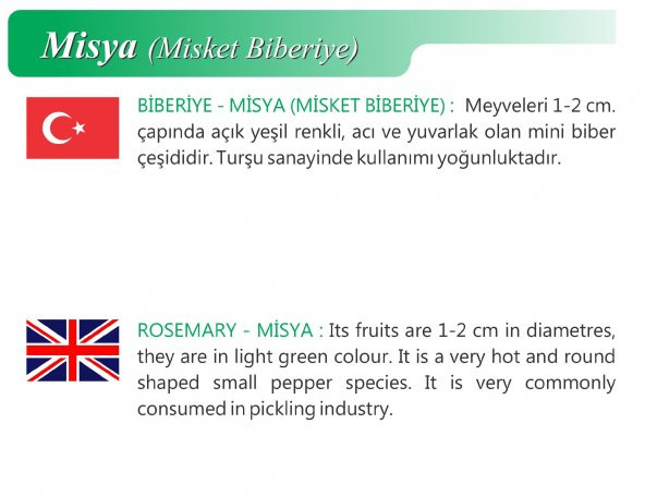 ATA TOHUMU YERLİ DOĞAL MİSKET BİBERİ 100 ADET TOHUM - Resim 2