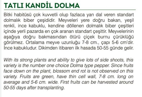 ATA TOHUMU TATLI KANDİL DOLMA BİBERİ 100 ADET TOHUM - 2